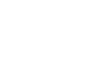 qlik